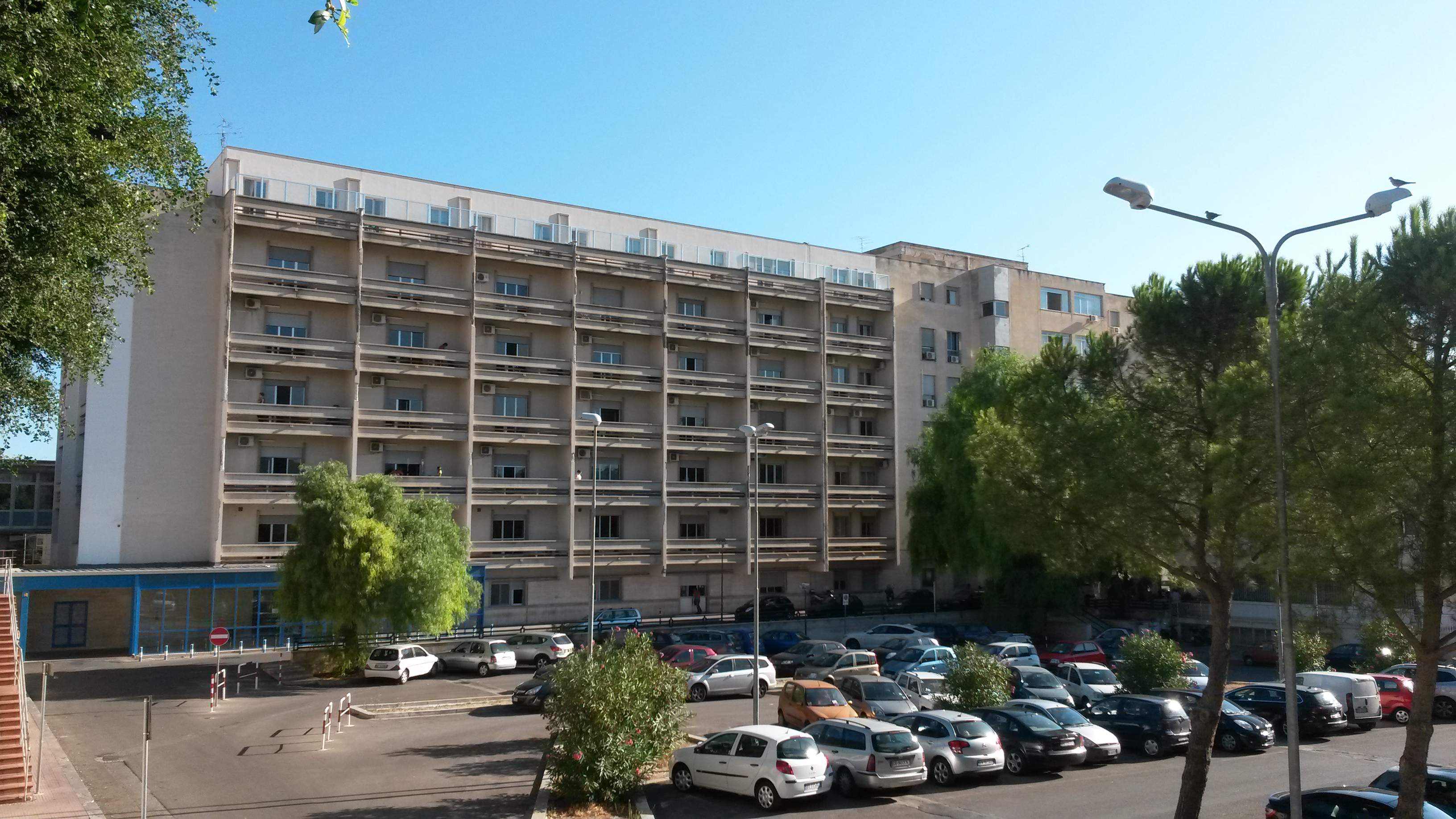 ospedale cervello