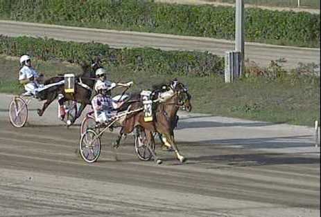 riapre l'ippodromo di palermo