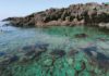 Ustica turismo scientifico