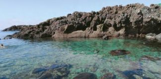 Ustica turismo scientifico