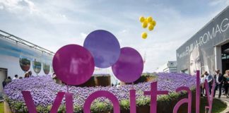 vinitaly