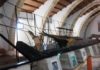 nave punica