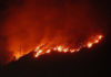 incendi in provincia di palermo