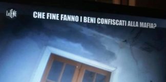 pino greco