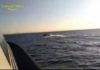 operazione sea ghosts