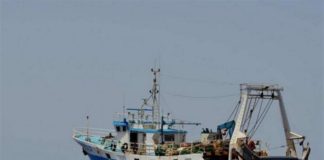 tramontana