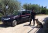 operazione antidroga nel nisseno