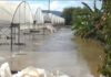 Piogge record in sicilia