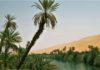 africa