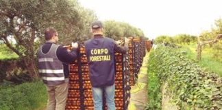 controlli alimentari in sicilia