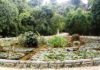 orto botanico di palermo