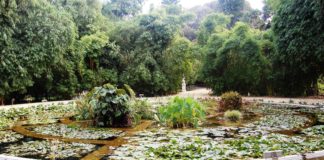 orto botanico di palermo