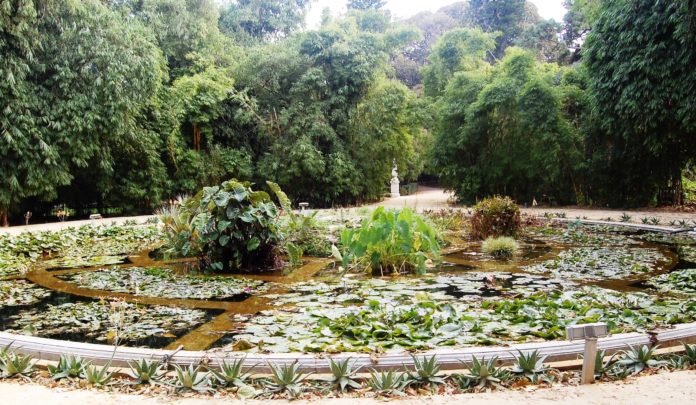 orto botanico di palermo