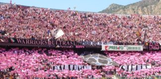 palermo calcio